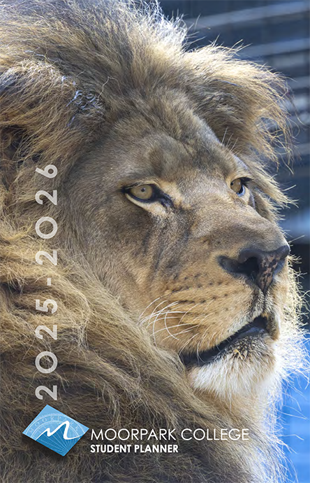 Ira the Lion